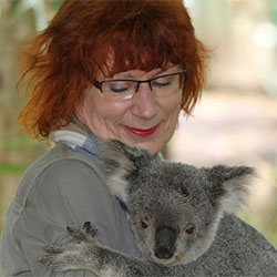 woman holding koala